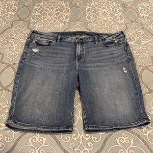 Silver Jeans Co. Bermuda Shorts